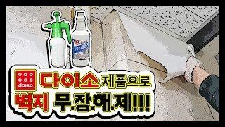 다이소 꿀템으로 벽지제거하기!! - 사무실 셀프인테리어 | 욱가이버