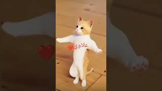 اغنية علاوي واوي قطط للاطفال العاب بزونه