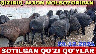 QO'Y QO'ZI QO'CHQOR NARXLARI QIZIRIQ JAXON MOLBOZORI 29.12.2024