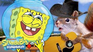 SpongeBob ist 10 Minuten auf dem TROCKENEN | SpongeBob Schwammkopf