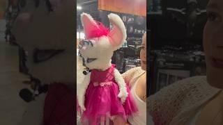 Took Petunia to @spirithalloween  | Darci Lynne