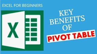 BENEFITS OF PIVOT TABLE | MS EXCEL