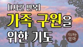 가족구원을 위한 기도문 | 1시간반복기도문 | 가정을 위한 기도문 | 기독교 기도문 | 자기 전에 기도하기 | 가족 기도문 | 가족 축복 기도문 | ASMR기도문