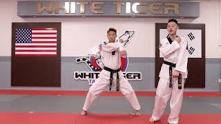 Episode 4 | Form Technique | JH Kim's WHITE TIGER MARTIAL ARTS