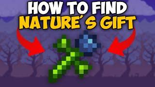 Terraria How To Get Nature's Gift | Terraria Nature's Gift seed 1.4.4.9