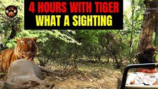 Big Male Tiger Sighting in Zone 10 of Ranthambore National Park | 4 Hours with the Wild Tiger 4K