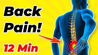  12-min BACK PAIN EXERCISES FOR SENIORS  Easy Routines for Relief