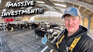 FINALLY COWS ARE IN THE BRAND NEW SHED FOR THE VERY FIRST TIME!!!