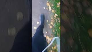 9 сентября 2023 г.