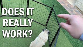 FXW Rollick Dog Playpen Review - Does It Really Work?