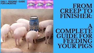 Feeding Pigs from Creep Stage to Finisher Stage-Complete guide