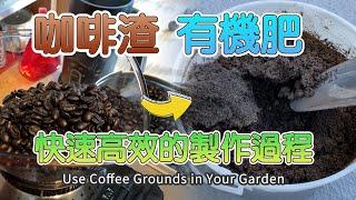 快速高效的咖啡渣肥的制作流程 | 咖啡渣有机肥的使用方法 | 12天快速发酵咖啡渣