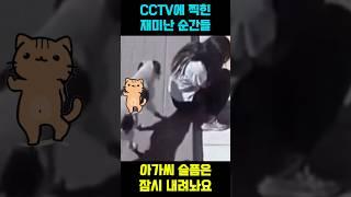 CCTV에 찍힌 재미난 순간들 #웃긴짤 2