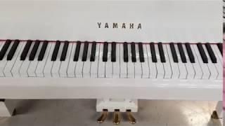 Yamaha Grand Piano