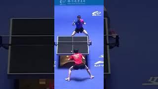 #왕추친 #마롱 #탁구 신계 #랠리 #wangchuqin #malong  #tabletennis #pingpong #ifft #쇼츠 #shorts