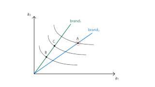 A.13 Characteristics demand | Consumption - Microeconomics