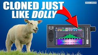 SDR 101 - DSP Receiver That's Cloned More Than Dolly