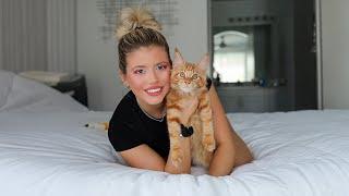 SURPRISING MY WIFE WITH HER DREAM CAT!! *she cried*