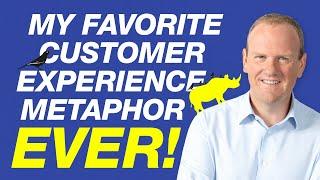 My favorite customer experience metaphor ever!  - by Steven Van Belleghem