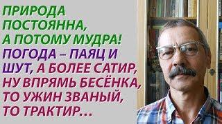 Скворцов Александр. Стихи и тексты. Видео5 (из 7-ми) Читает автор.