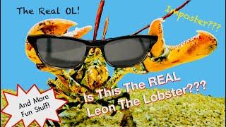 Is This The Real Leon The Lobster?