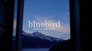 Bluebird by Charles Bukowski