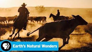 Official Trailer | EARTH'S NATURAL WONDERS | Season 2 | PBS