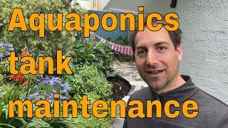 Aquaponics fish tank maintenance