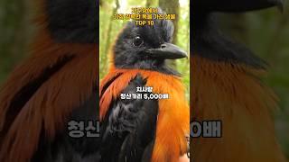 지구상에서 가장 강력한 독을 가진 생물 TOP 10   #포이즌 #poison #생물