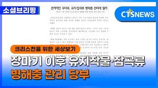 [소셜] 생활ㅣ장마기 이후 유지작물·잡곡류 병해충 관리 당부 (이한승)ㅣCTS뉴스