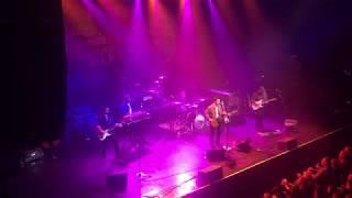 Blue Water Highway | In Your Eyes - Peter Gabriel (COVER)