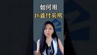 如何用1%首付买房？ #在美国买投资房 #怎么买第一套投资房 #美国买房 #美国房产 #美国投资