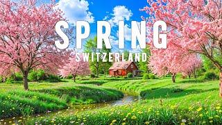 Experience Spring in Switzerland  A Scenic Journey Through Gstaad, Montreux & Lugano