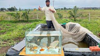 Sare Fish Nikal Liye Fish Tank Me 