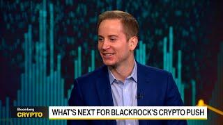 'IBIT', MicroStrategy Draw Different Investors: BlackRock's Mitchnick