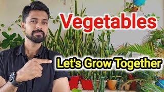 How to grow vegetables at home !! Let's Grow Together #vegetables