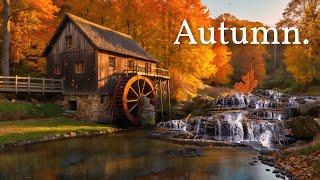 Tranquil Autumn Scene with Flowing Stream & Guitar Music  | Peaceful Relaxation