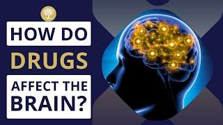 How Do Drugs Affect The Brain? - The Recovery Village #DrugUse #KnowYourBody