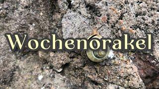 Wochenbotschaft  7.10.-13.10.24 • Herzenswege 