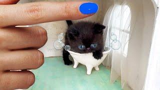 Rescue the Smallest KITTEN! Building Secret Cat House you will never find!