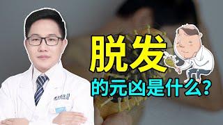 【脱发问答】人为什么会脱发？懂这个原理脱发也不慌！雍禾植发|马晓阳医师