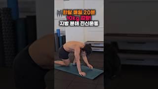 한달 매일 20분 10kg감량 지방분해 전신운동#홈트레이닝 #홈트전신운동 #홈트 #다이어트 #전신운동 #shorts