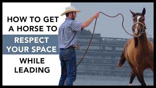 How to get a horse to respect your space while leading- No more crowding