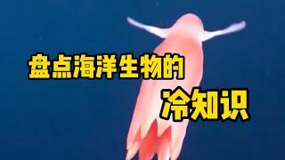 盘点几个海洋生物的冷知识，还挺有趣的。#海洋生物 #海洋 #科普