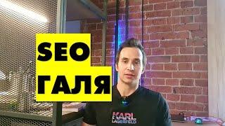SEO дёшево! Создание и продвижение сайта недорого с помощью Гали!