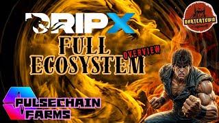 Dripx Full Ecosystem Overview + Pulsechain Farms