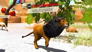 The Wolf - Lion Champion In Featured Savannah Valley 