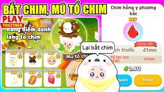 Play Together | MÌNH PHÁT HIỆN NHIỆM VỤ BẮT CHIM MỚI NHẬN TRANG PHỤC CHIM VÀ MŨ TỔ CHIM