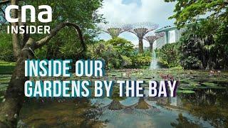 How To Upkeep A Scenic Paradise | Inside Our Gardens By The Bay | Full Episode