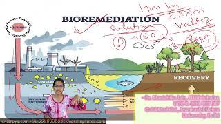 Bioremediation: Case Study of Exxon Valdez Oil Spill #geographyoptional